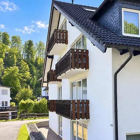 Smart 2 Bb2 329 Winterberg